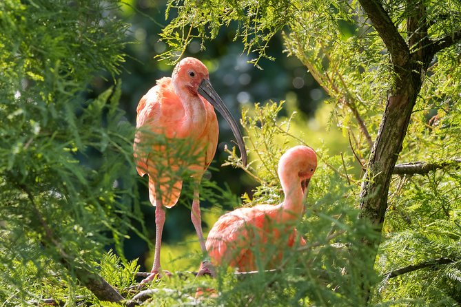 Bird Sanctuaries Tour - Exploring the Adventure Farm