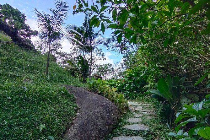 Bird-Watching and Nature Reserve Experience in Ibague - Meeting Point and Pickup