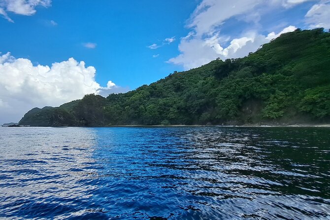 Bird Watching and Waterfall Adventure on the Caribbean Coast - Adventure Highlights