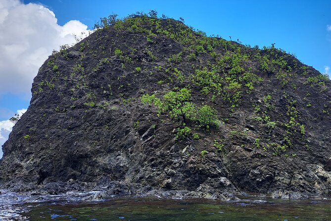Bird Watching and Waterfall Adventure on the Caribbean Coast - Preparing for the Tour