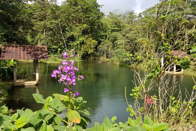 Bird-Watching and Wildlife Tour - Personalized Attention and Guides