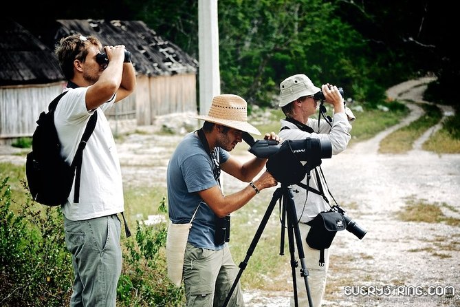 Bird Watching in Sian Ka´an and Muyil Archaeological Site - Health and Safety Guidelines