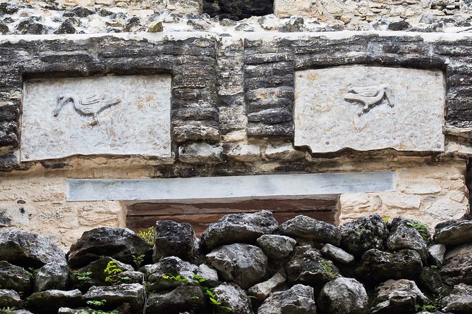 Bird Watching in Sian Ka´an and Muyil Archaeological Site - Exploring Sian Kaan Biosphere Reserve