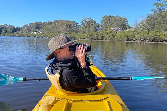 Bird Watching Kayak Tour - Exploring the Bird Watching Kayak Tour in New South Wales