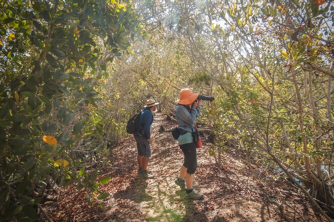 Bird Watching Mazatlán - Birding Tour - Key Points