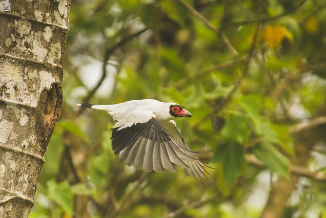 Bird-Watching Private Tour - Meeting and Pickup