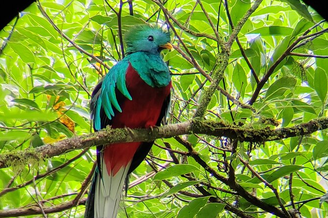 Bird-Watching Private Tour - Health and Safety Information