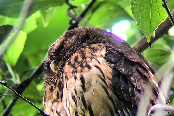 Bird-Watching Private Tour - Reviews