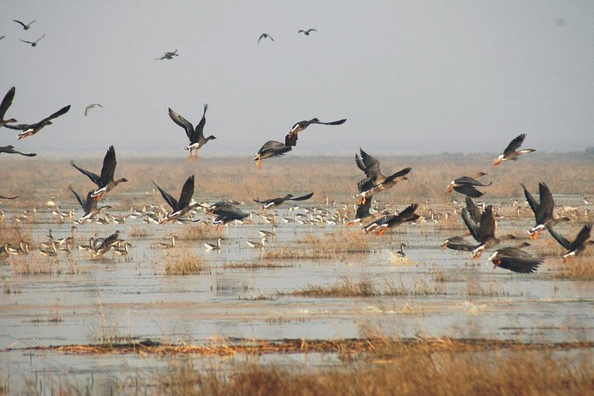Bird Watching Tour at Nanji Hill Review - Recap