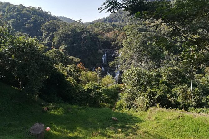 Bird Watching Tour Departing From Bogota. (2 Days) - Key Points