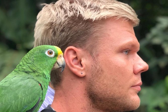 Bird Watching Tour Departing From Bogota. (2 Days) - Pickup Information