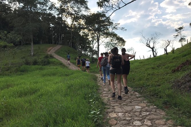 Bird Watching Tour Departing From Bogota. (2 Days) - Authentic Reviews
