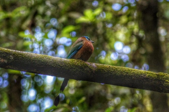 Bird Watching Tours - Pickup and Meeting Details