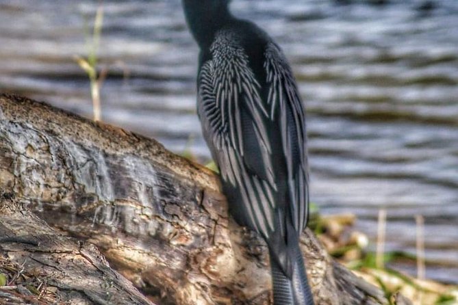 Bird Watching Tours - Sample Itinerary and Inclusions