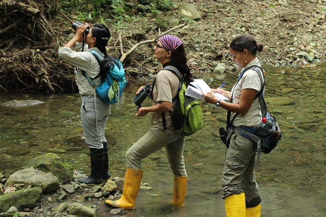 Bird Watching Tours With Sandra Plúa - Manabi, Ecuador - Guest Reviews