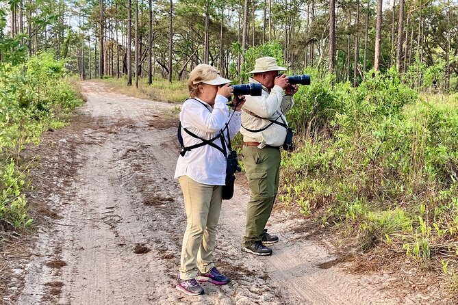 Birding and Wildlife Tour of Floridas Treasure Coast - Photographic Opportunities