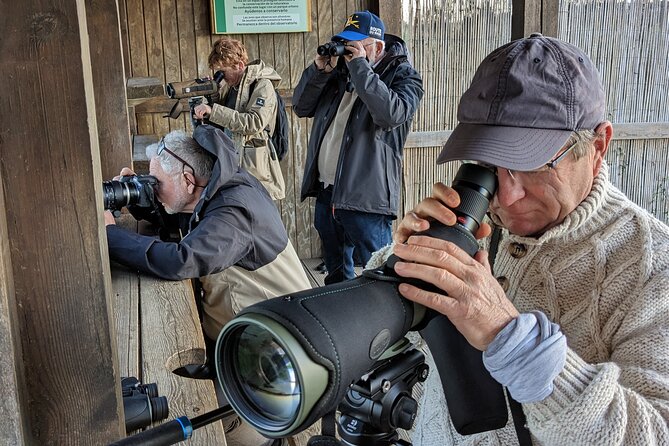 Birding Costa Del Sol Day Tour - Tour Overview