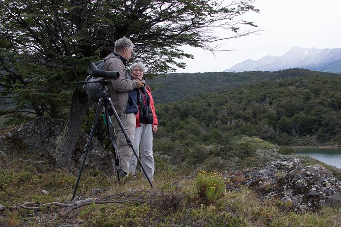 Birding in Tierra Del Fuego National Park - Targeted Bird Species