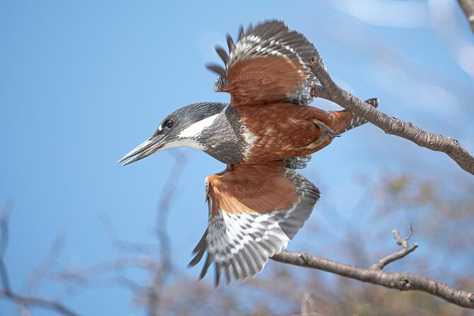 Birding in Tierra Del Fuego National Park - Guides and Their Expertise