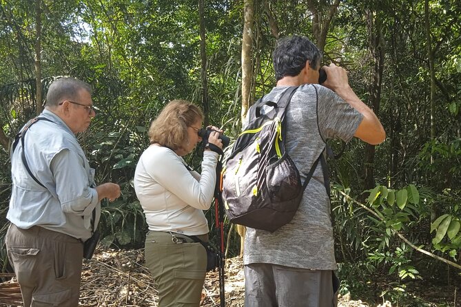 Birding Pipeline Road From Amador Cruise Port - What to Bring and Wear