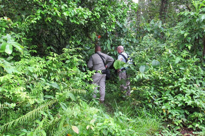 Birding Pipeline Road From Amador Cruise Port - Authentic Reviews and Ratings