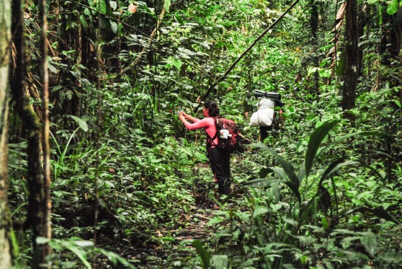 Birding The Amazon - Itinerary Highlights