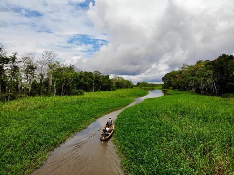 Birding The Amazon - Included Services and Equipment