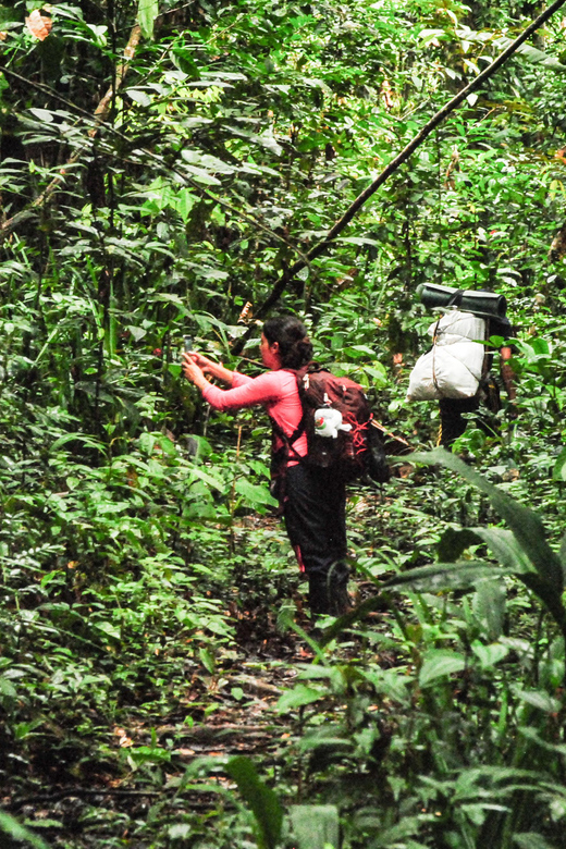 Birding The Amazon - Birdwatching Experience
