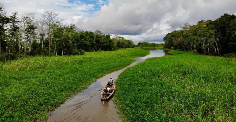 Birding The Amazon - Birdwatching Experience