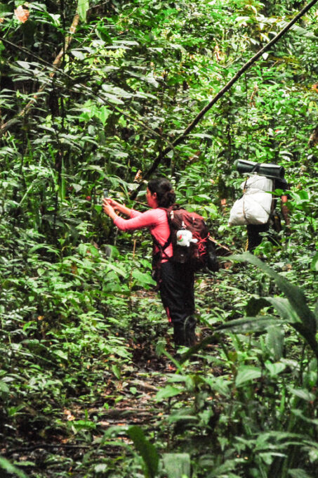 Birding The Amazon - Cancellation and Payment Policies