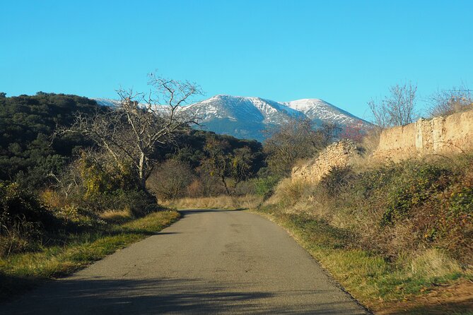 Birding Through the Ebro Valley - About Your Stay