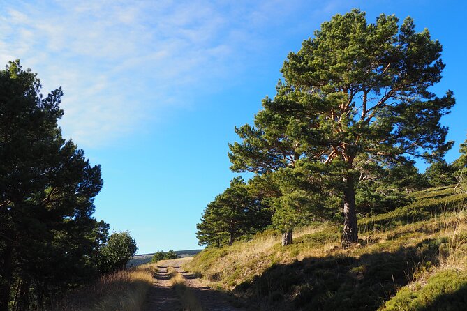 Birding Through the Ebro Valley - Transportation and Accessibility