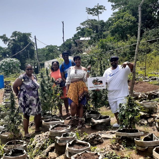 Birds and Cannabis Farm Private Tour - Strolling the Herb Farm