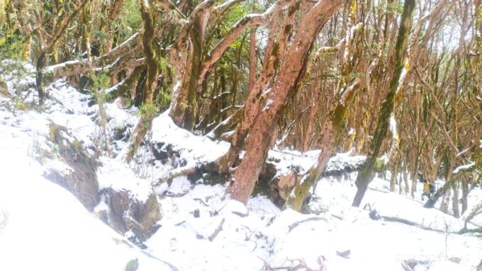 Birds and Peaks: a Journey Through Mardi Himal Basecamp Trek - Recommended Gear