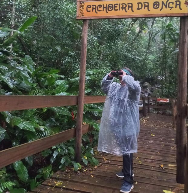 Birdtour + Onça Waterfall - Highlights