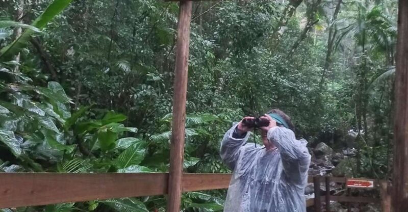 Birdtour + Onça Waterfall - Included