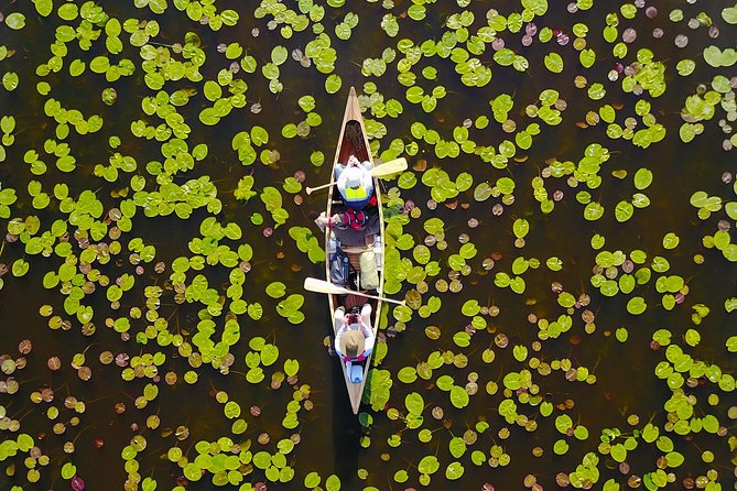 BIRDWATCH - Premium Guided Canoe Tour at Cape Vente, Nemunas Delta Regional Park - Pricing Information