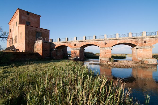Birdwatching and Photo Tour in Diaccia Botrona - Meeting and Departure Points