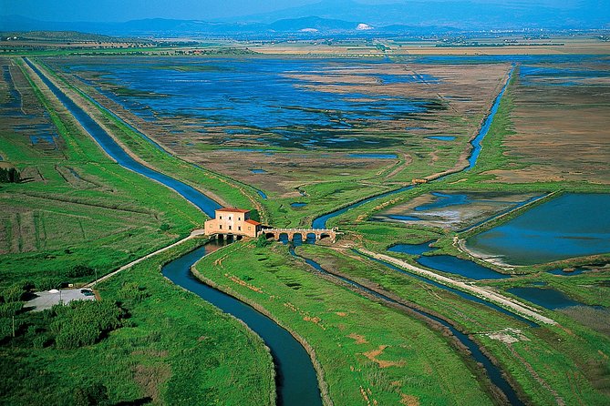 Birdwatching and Photo Tour in Diaccia Botrona - What to Expect