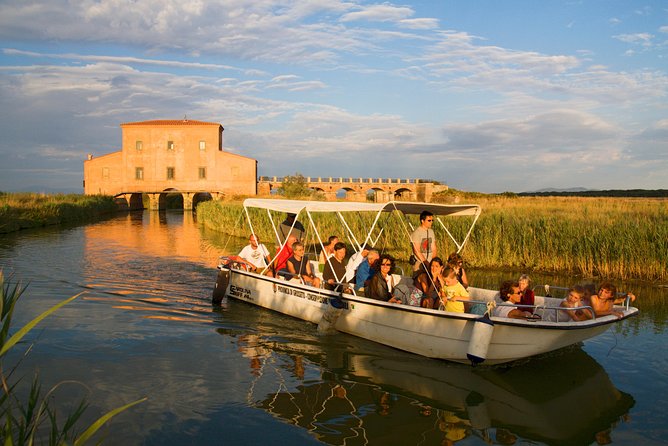 Birdwatching and Photo Tour in Diaccia Botrona - Tips for Participants