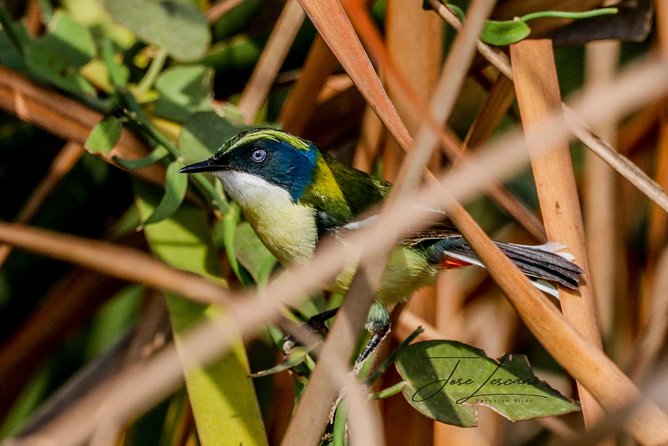Birdwatching at Huacarpay Wetland in Cusco - Participant Reviews