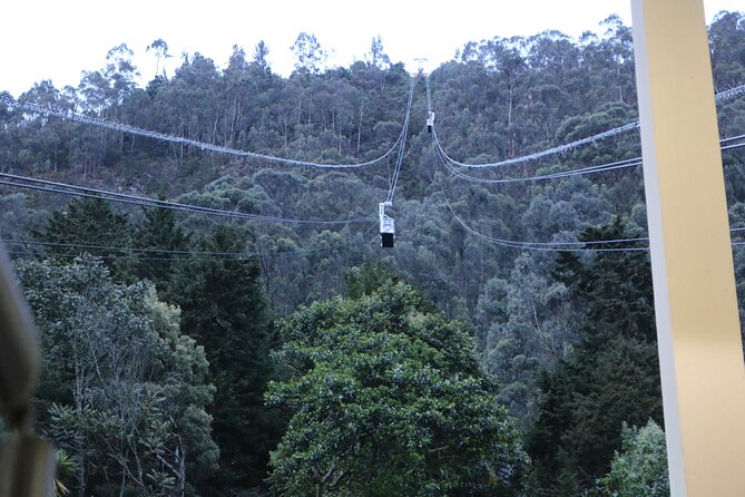 Birdwatching at Monserrate Bogotá 4H - Exploring Monserrates Birdlife