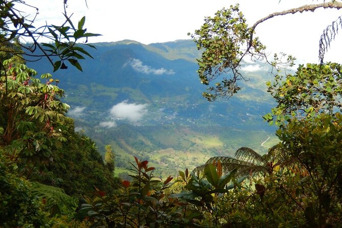 Birdwatching at Monserrate Bogotá 4H - Preparing for the Adventure