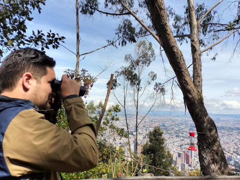 Birdwatching at Monserrate Bogotá - Key Points