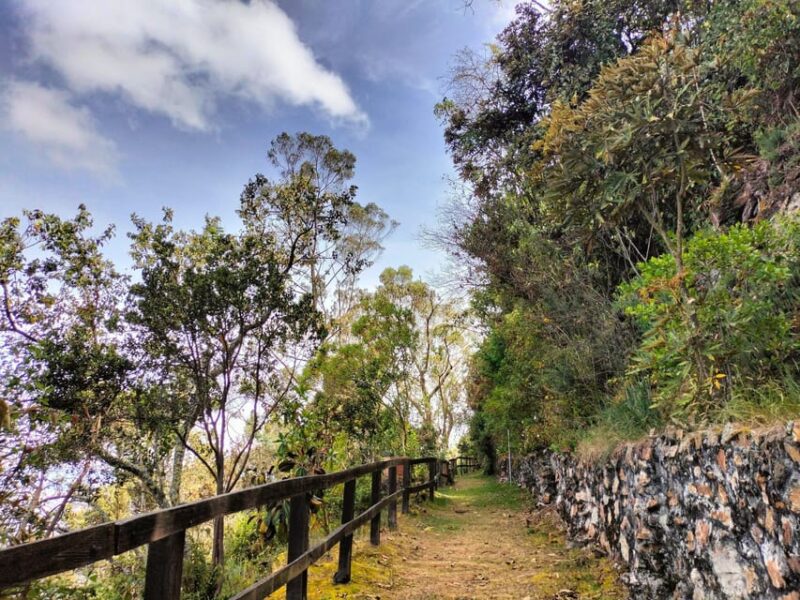 Birdwatching at Monserrate Bogotá - Inclusions and Additional Information