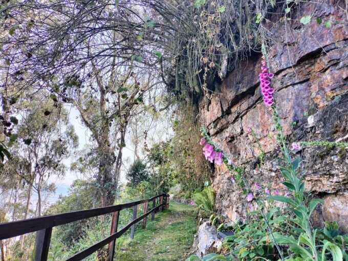Birdwatching at Monserrate Bogotá - Frequently Asked Questions