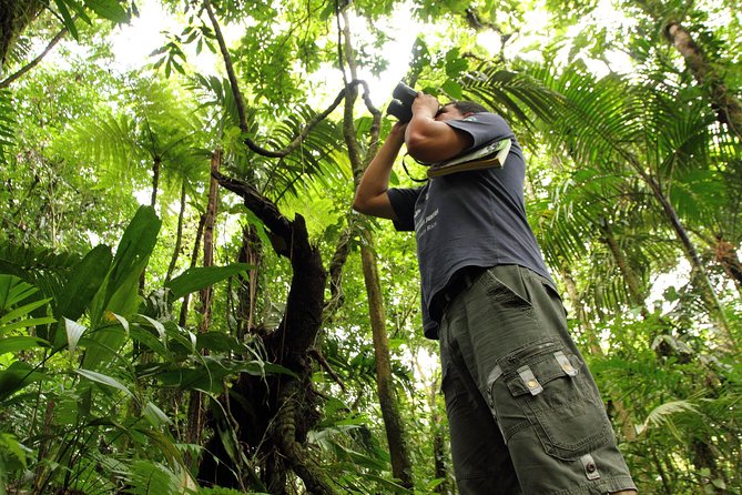 Birdwatching at Mundo Aventura Natural Park - Key Points