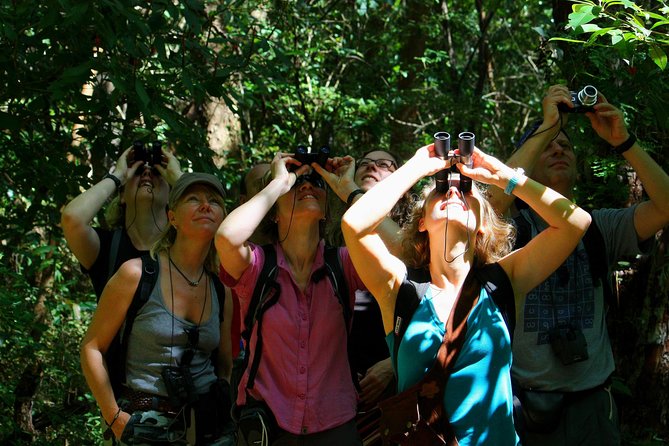 Birdwatching at Mundo Aventura Natural Park - Grasslands, Forests, and Streams: Diverse Habitats