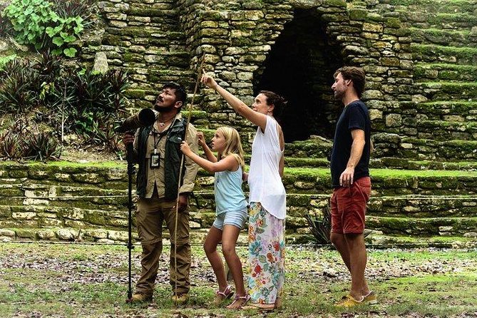 Birdwatching at the Mayan Cities With Certified Guide - Birdwatching Highlights