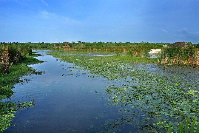 Birdwatching Boat Ride in Kalametiya Sanctuary - Health and Safety Requirements